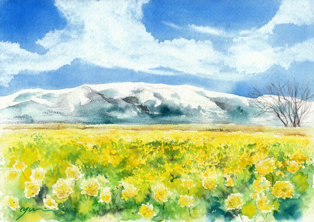 2月水彩色鉛筆教室「菜の花と雪山」
