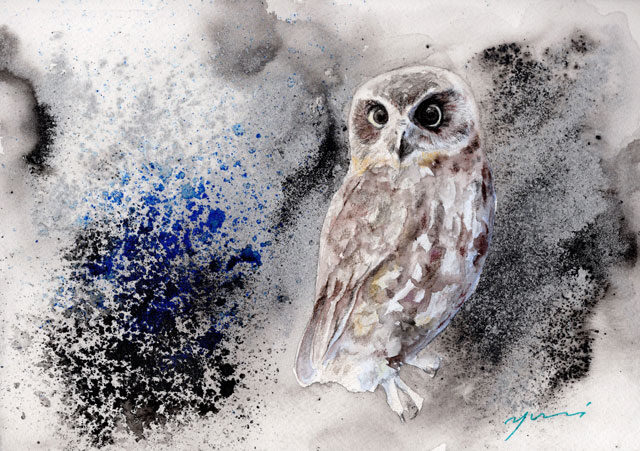 8月水彩色鉛筆教室「Owl」