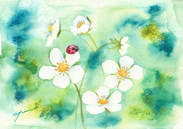 4月水彩色鉛筆教室「テントウムシと白い花」