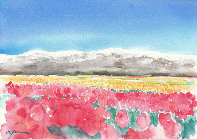 4月水彩色鉛筆 風景画コース「チューリップと立山富山」