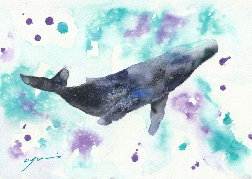 12月水彩色鉛筆教室「クジラ」