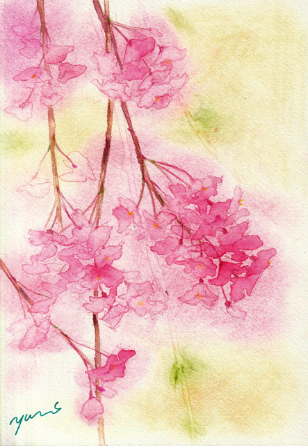 3月水彩色鉛筆教室「しだれ桜」