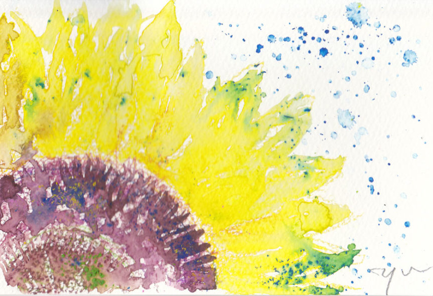 7月31日　朝日カルチャー　夏の花を描く　募集しています。