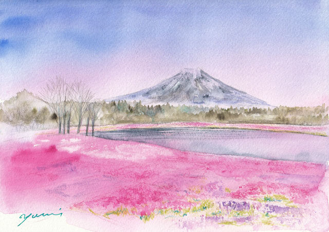 5月水彩色鉛筆 風景画コース「芝桜」