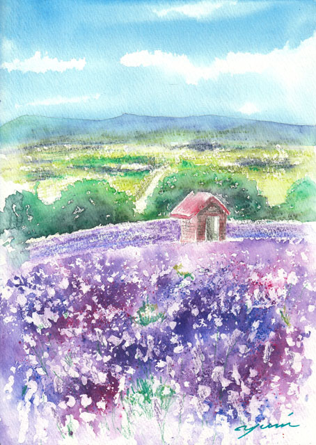 8月水彩色鉛筆教室 風景画コース「ラベンダー畑」